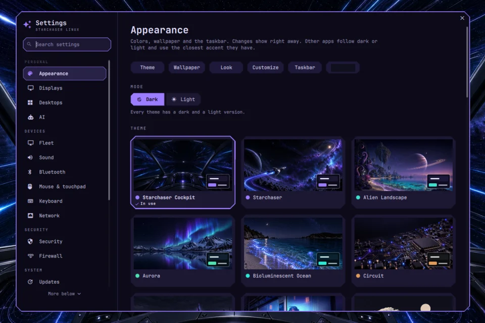 Appearance settings with the bundled theme gallery; selected text masked